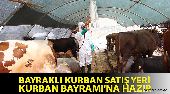 BAYRAKLI KURBAN SATIŞ YERİ KURBAN BAYRAMI'NA HAZIR