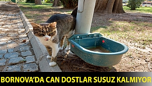 Bornova’da can dostlar susuz kalmıyor