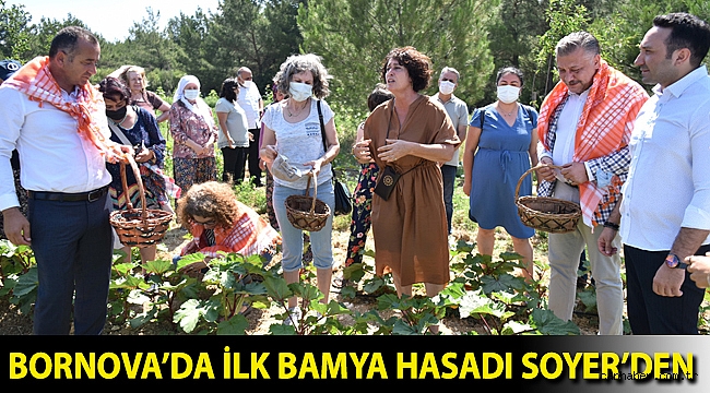 Bornova’da ilk bamya hasadı Soyer’den