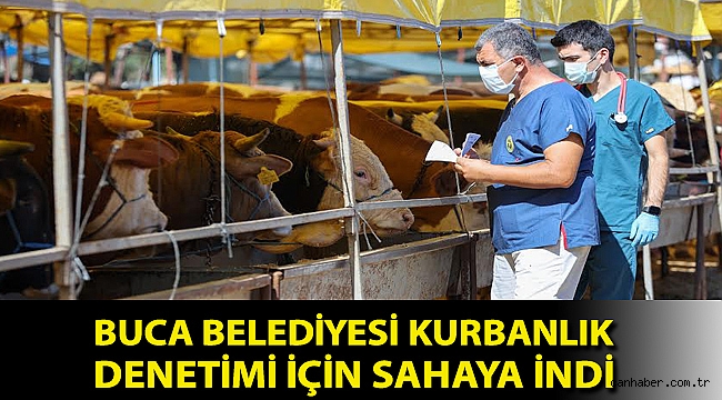Buca Belediyesi kurbanlık denetimi için sahaya indi