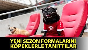 Championship ekibi Bristol City, yeni sezon formalarını köpeklerle tanıttı