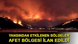 Erdoğan açıkladı: Yangından etkilenen bölgeler afet bölgesi ilan edildi