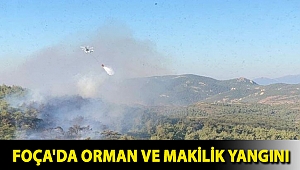 Foça'da orman ve makilik yangını: 1 saatte söndürüldü