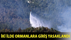 Gaziantep ve Çanakkale'de ormanlara giriş yasaklandı