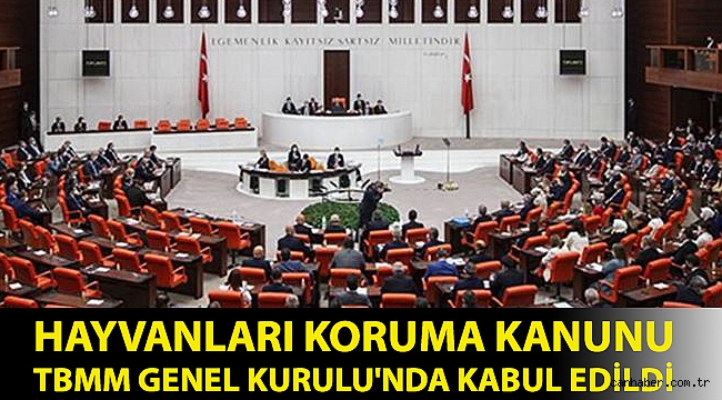 Hayvanları Koruma Kanunu TBMM Genel Kurulu'nda kabul edildi