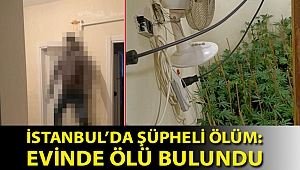 İstanbul’da şüpheli ölüm: Hint keneviri yetiştiren şahıs evinde ölü bulundu