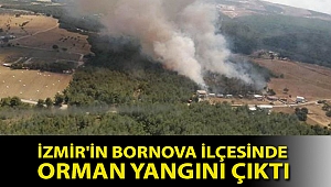 İzmir'in Bornova ilçesinde orman yangını çıktı