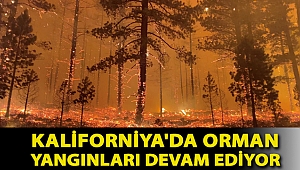 Kaliforniya'da orman yangınları devam ediyor