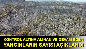 Kontrol altına alınan ve devam eden yangınların sayısı açıklandı