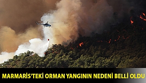 Marmaris'teki orman yangının nedeni belli oldu