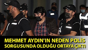 Mehmet Aydın'ın neden polis sorgusunda olduğu ortaya çıktı