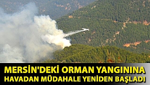 Mersin'deki orman yangınına havadan müdahale yeniden başladı