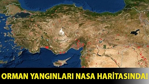 Orman yangınları NASA haritasında!