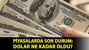 Piyasalarda son durum: Dolar ne kadar oldu?