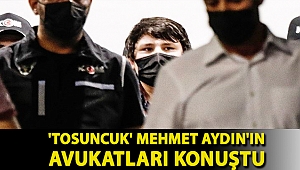 'Tosuncuk' Mehmet Aydın'ın avukatları konuştu: Bitcoin’i yok, boşanmaya itiraz etmeyecek