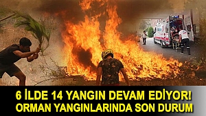 6 ilde 14 yangın devam ediyor! Orman yangınlarında son durum