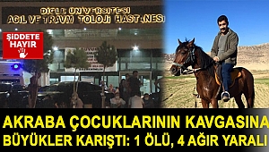 Akraba çocuklarının kavgasına büyükler karıştı: 1 ölü, 4 ağır yaralı