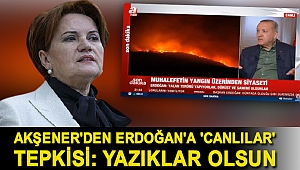 Akşener'den Erdoğan'a 'canlılar' tepkisi: Yazıklar olsun
