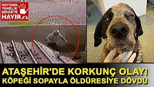 Ataşehir'de korkunç olay! Köpeği sopayla öldüresiye dövdü