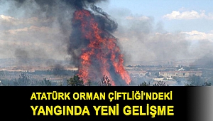 Atatürk Orman Çiftliği'ndeki yangının şüphelisine en az 10 yıl hapis istemi