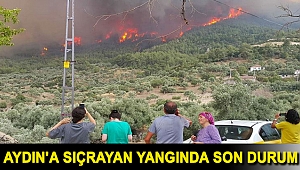 Aydın'a sıçrayan yangında son durum