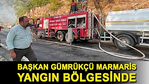 Başkan Gümrükçü Marmaris Yangın Bölgesinde