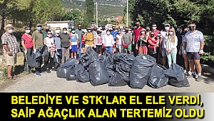 Belediye ve STK’lar el ele verdi, Saip ağaçlık alan tertemiz oldu