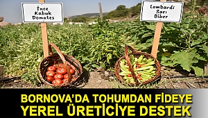 Bornova’da tohumdan fideye yerel üreticiye destek