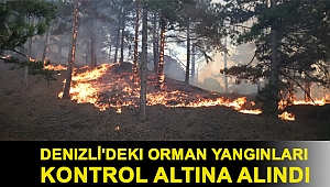 Denizli'deki orman yangınları kontrol altına alındı