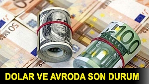 Dolar ve avroda son durum (26.08.2021)