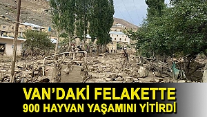 Felakette 900 hayvan yaşamını yitirdi