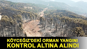 Köyceğiz'deki orman yangını kontrol altına alındı