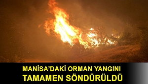 Manisa’daki orman yangını tamamen söndürüldü