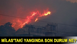 Milas'taki yangında son durum ne?