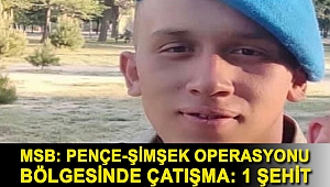 MSB: Pençe-Şimşek operasyonu bölgesinde çatışma: 1 şehit, 1 yaralı