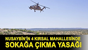 Nusaybin’in 4 kırsal mahallesinde sokağa çıkma yasağı