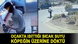 Ocakta ısıttığı sıcak suyu köpeğin üzerine döktü