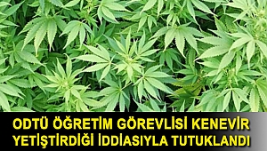 ODTÜ öğretim görevlisi kenevir yetiştirdiği iddiasıyla tutuklandı