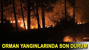 Orman yangınlarında son durum: Muğla'da 5 yangın sürüyor