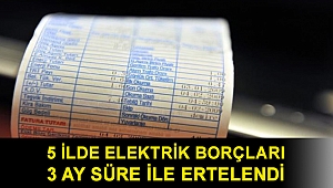 Orman yangınlarından etkilenen 5 ilde elektrik abonelerinin borçları 3 ay süre ile ertelendi