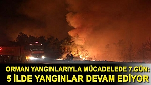 Orman yangınlarıyla mücadelede 7.gün: 5 ilde yangınlar devam ediyor