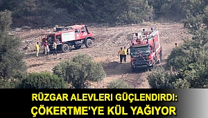 Rüzgar alevleri güçlendirdi: Çökertme'ye kül yağıyor