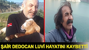 Şair Dedocan Luvi hayatını kaybetti