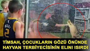 Timsah, çocukların gözü önünde hayvan terbiyecisinin elini ısırdı