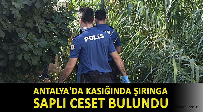 Antalya'da kasığında şırınga saplı ceset bulundu