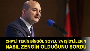 CHP’li Tekin Bingöl Soylu'ya IŞİD'lilerin nasıl zengin olduğunu sordu
