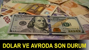 Dolar ve avroda son durum