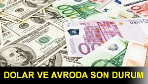 Dolar ve avroda son durum