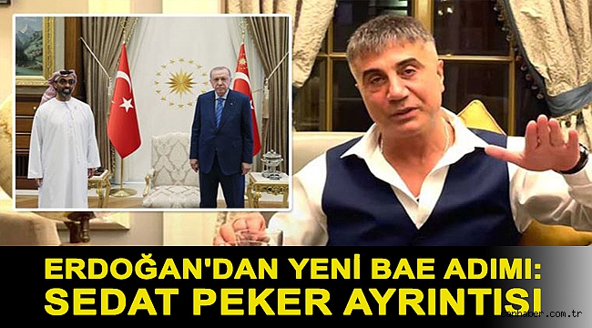 Erdoğan'dan yeni BAE adımı: Sedat Peker ayrıntısı