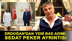 Erdoğan'dan yeni BAE adımı: Sedat Peker ayrıntısı